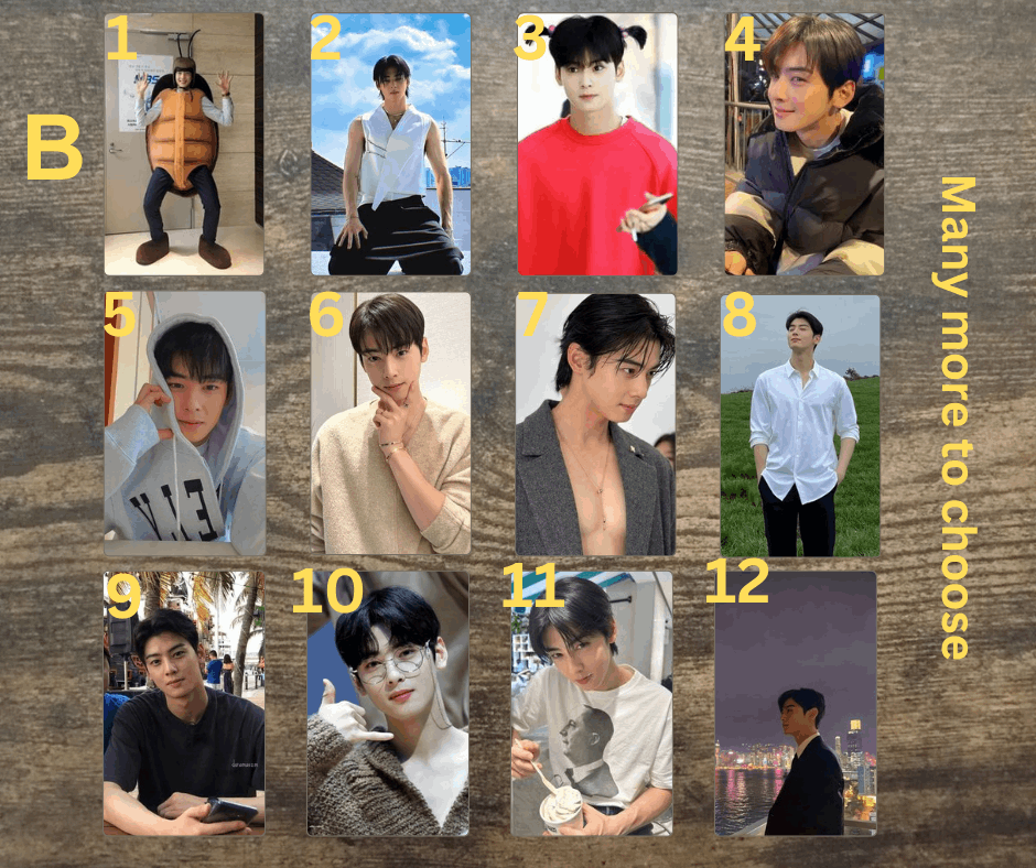 Cha Eunwoo Photocard, Kpop Fanmade Sammelkarten, Astro